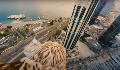 Qatar Tourism has unveiled Qatar Through the Eyes of a Falcon